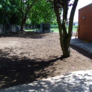 de_bohun_ school_8396 1-1