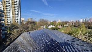 Raw Materials Project #5